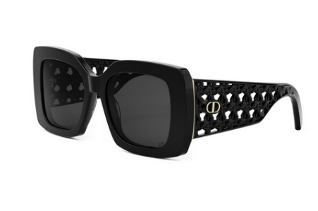 DIOR VERYDIOR S1I 10A1