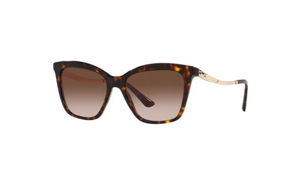BVLGARI BV8257 504/13