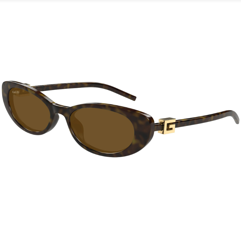 GUCCI GG1680S 004 52-17 - HAVANA